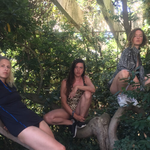 Lato. Na niskich zielonych liściastych drzewach siedzą trzy młode kobiety. Każda z nich ma na sobie krótki odsłaniający nogi strój, patrzą w obiektyw.